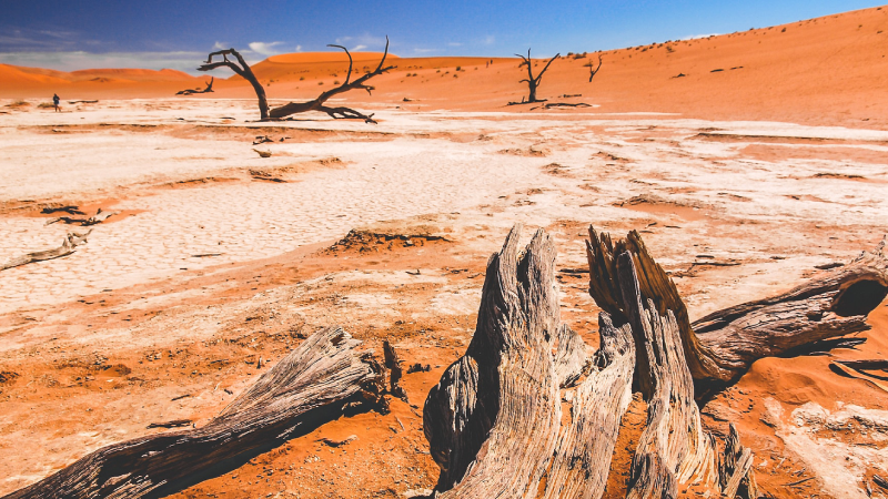 Rekor sıcaklık uyarısı: 5 yıla dikkat Lorem ipsum gibi yapay metinler yerine, gerçek anlam taşıyan bu