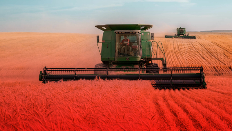 Mardin’de 60 dönüm ekili buğday yandı Lorem ipsum gibi yapay metinler yerine, gerçek anlam taşıyan bu