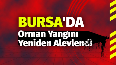 Bursa’da Orman Yangını Yeniden Alevlendi: Belediyelerden Acil Su Tankeri Çağrısı!