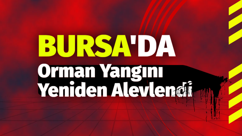Bursa’da Orman Yangını Yeniden Alevlendi: Belediyelerden Acil Su Tankeri Çağrısı!