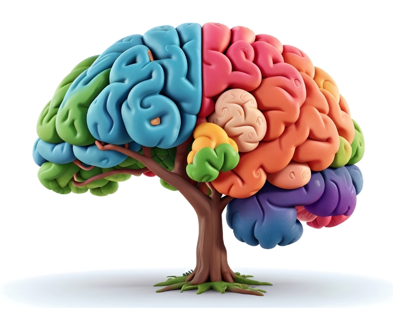 21. yüzyılda yaşlanan nüfus, toplumların sağlık politikalarında önemli bir değişimi