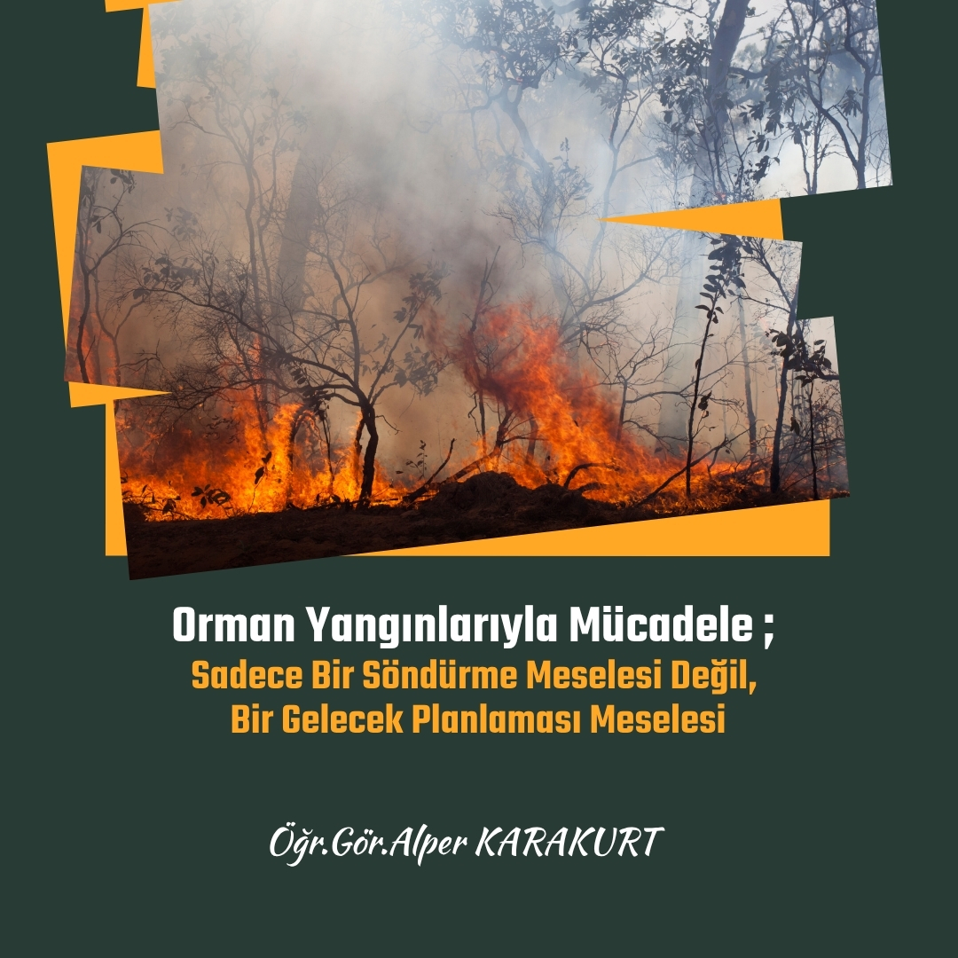 Son günlerde yurdun dört bir yanında yüreğimizi yakan orman yangınları,