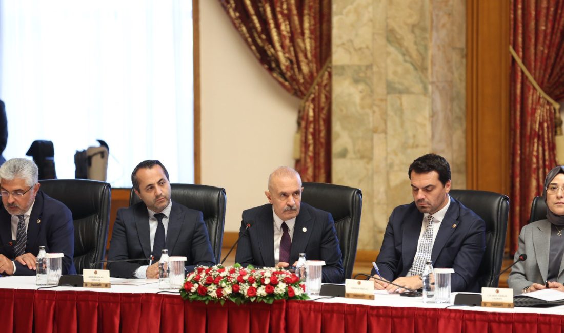 TBMM’de “Milli Dayanışma, Kardeşlik ve Demokrasi Komisyonu” Kuruldu Türkiye Büyük Millet Meclisi’nde, terör ve şiddet sorunlarının kalıcı biçimde