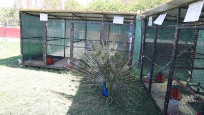 Battalgazi Belediyesi’nin özel gereksinimli bireyler için hizmet sunduğu Engelsiz Yaşam