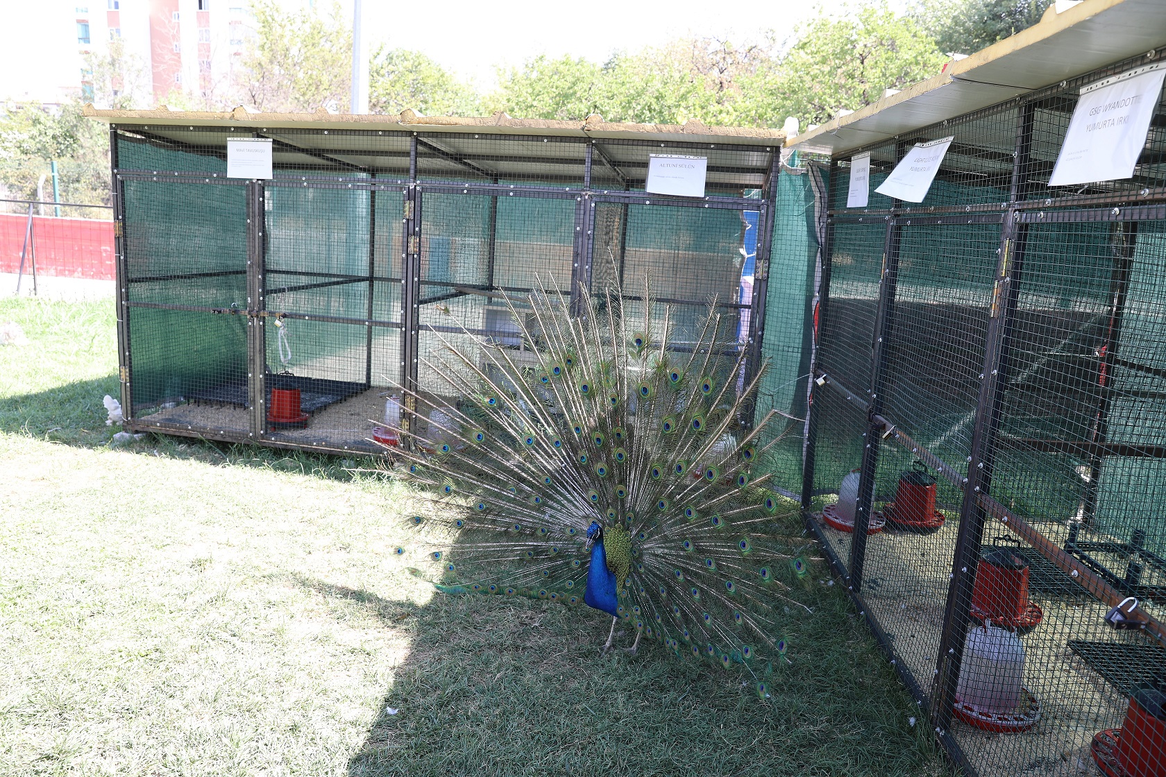 Battalgazi Belediyesi’nin özel gereksinimli bireyler için hizmet sunduğu Engelsiz Yaşam