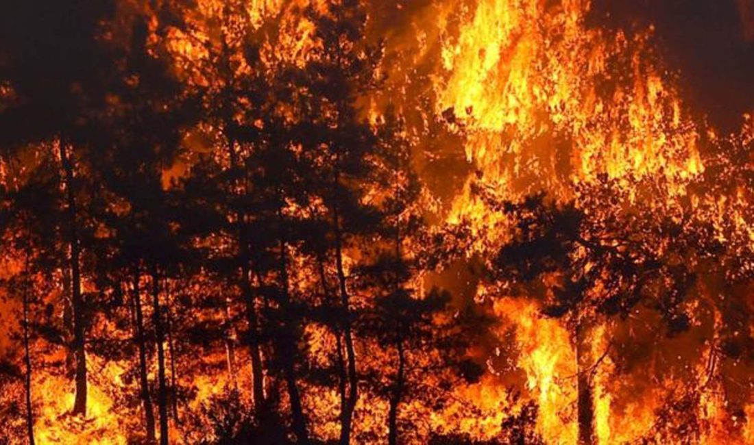 MalatyaPolitik.com – Son Dakika Çanakkale’de Orman Yangını Büyüyor: Tahliyeler Başlatıldı,