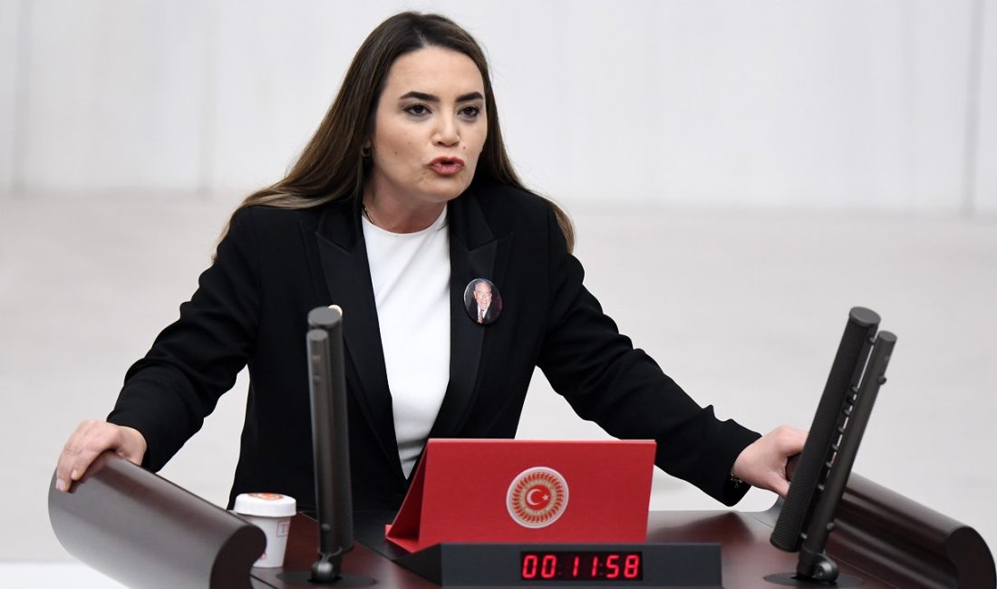 İYİ Parti Adana Milletvekili, merhum Başbuğ Alparslan Türkeş’in kızı Ayyüce