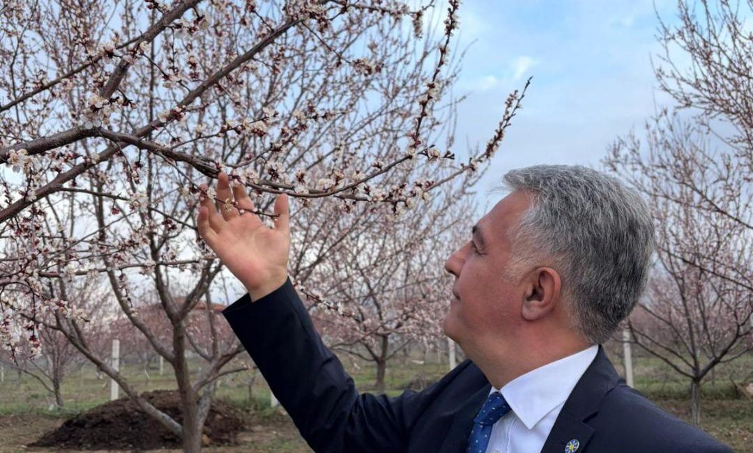 Malatya’da bugün etkili olan ani sağanak yağış ve dolu, şehrimizin