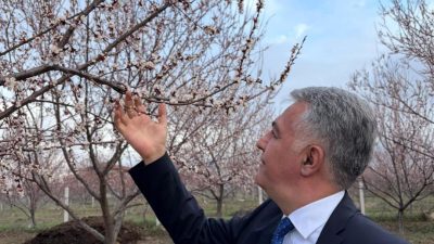 Malatya’da bugün etkili olan ani sağanak yağış ve dolu, şehrimizin
