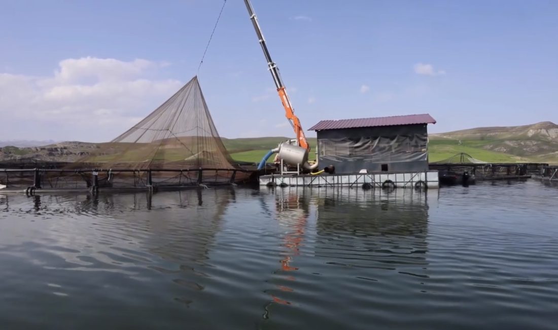 Malatya Tarım ve Orman Müdürü Osman Akar, il genelinde 12