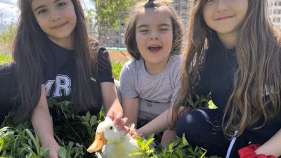 Mercan Koleji’nde uygulanan hayvan destekli eğitim modeliyle öğrenciler sevgi, merhamet