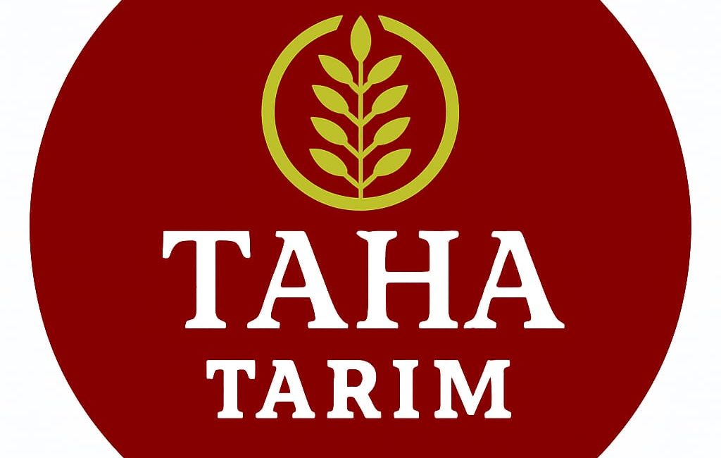 Son dönemde etkili olan dolu yağışları, tarımsal üretim alanlarında ciddi