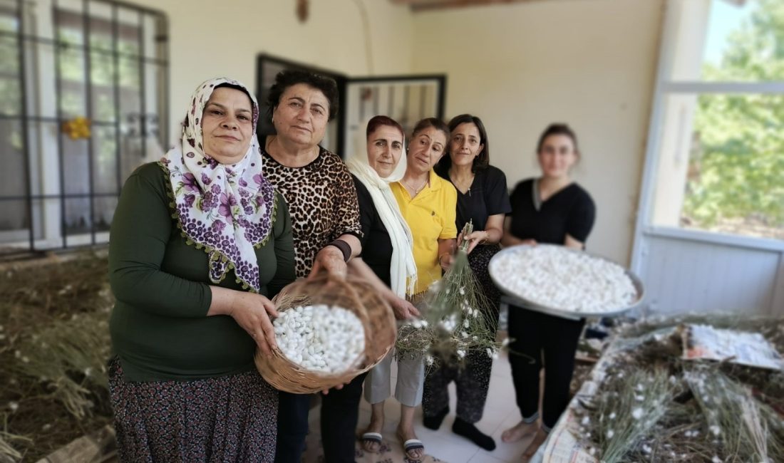 Hekimhan Kadın Kooperatifi, kadın emeğini üretime kazandırmak ve ilçe ekonomisine