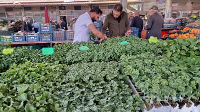 Malatya’nın Darende ilçesinde artan sebze fiyatları, vatandaşları kendi sebzesini üretmeye