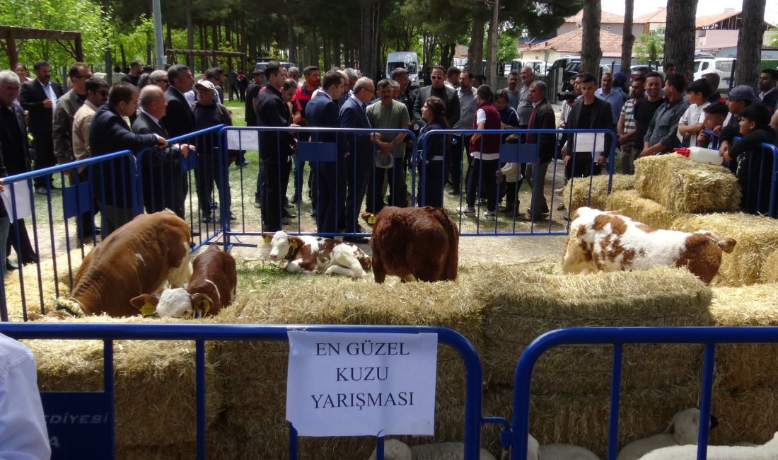 Yazıhan’da Dünya Çiftçiler Günü Coşkuyla Kutlandı Yazıhan’da Dünya Çiftçiler Günü kapsamında düzenlenen Tarım ve Hayvancılık Şenliği,