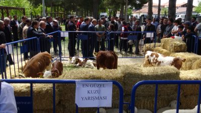 Yazıhan’da Dünya Çiftçiler Günü kapsamında düzenlenen Tarım ve Hayvancılık Şenliği,
